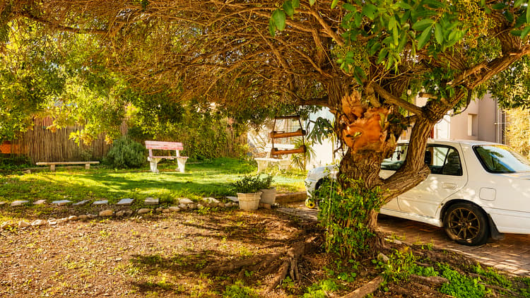 Main property image