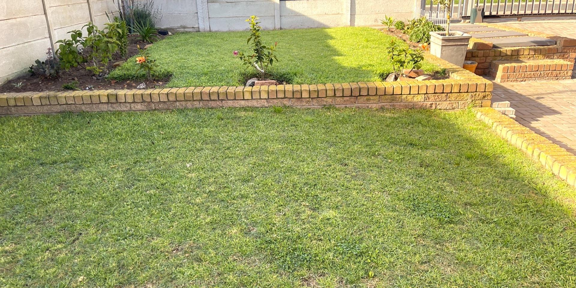 Image 2 of 6