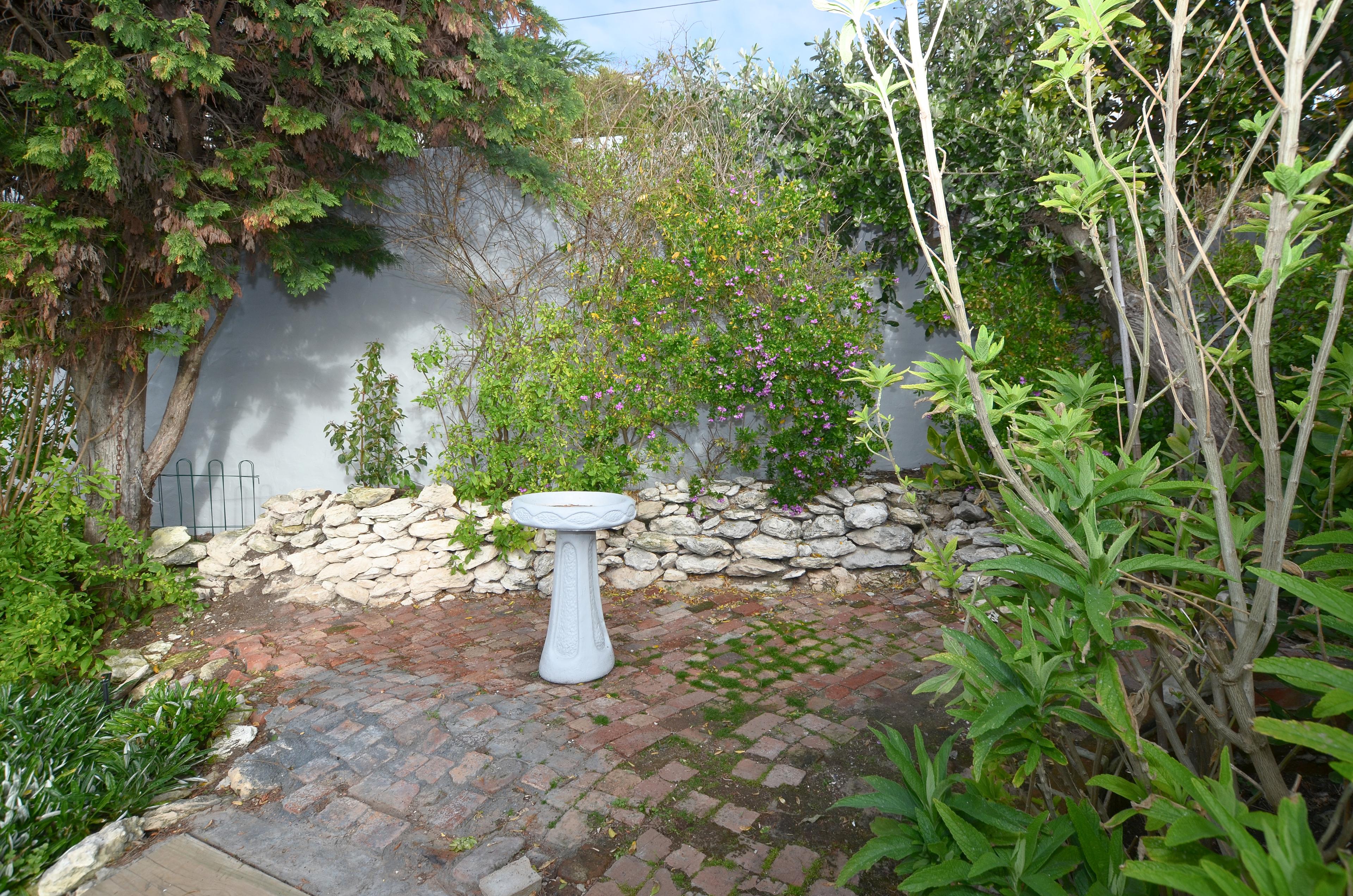 Image 24