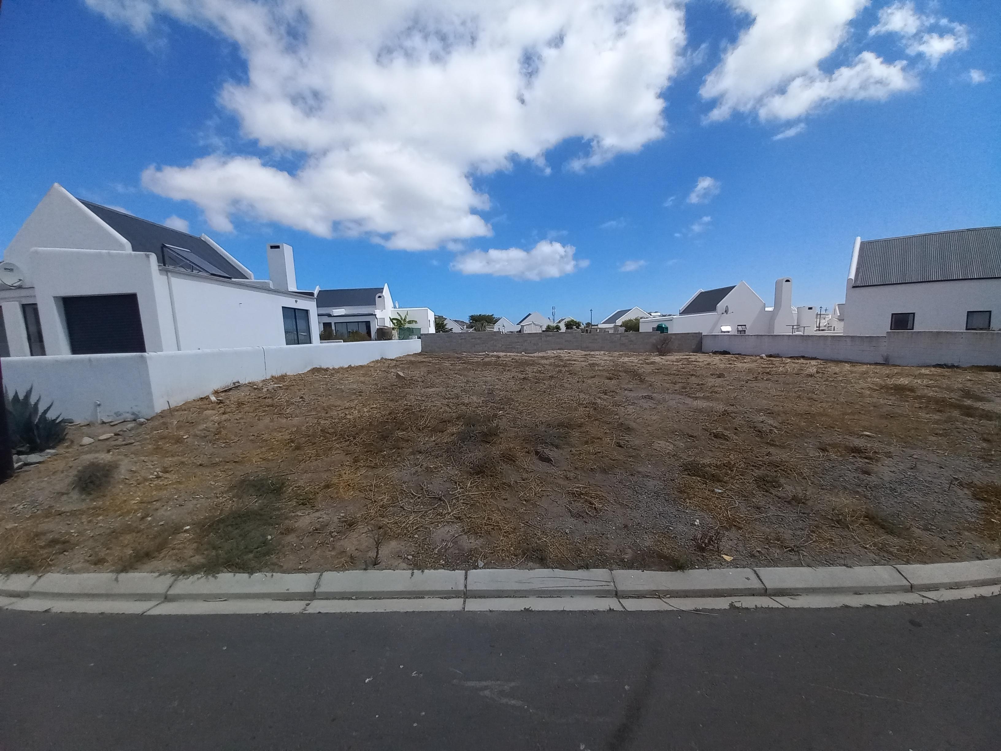 Image 12