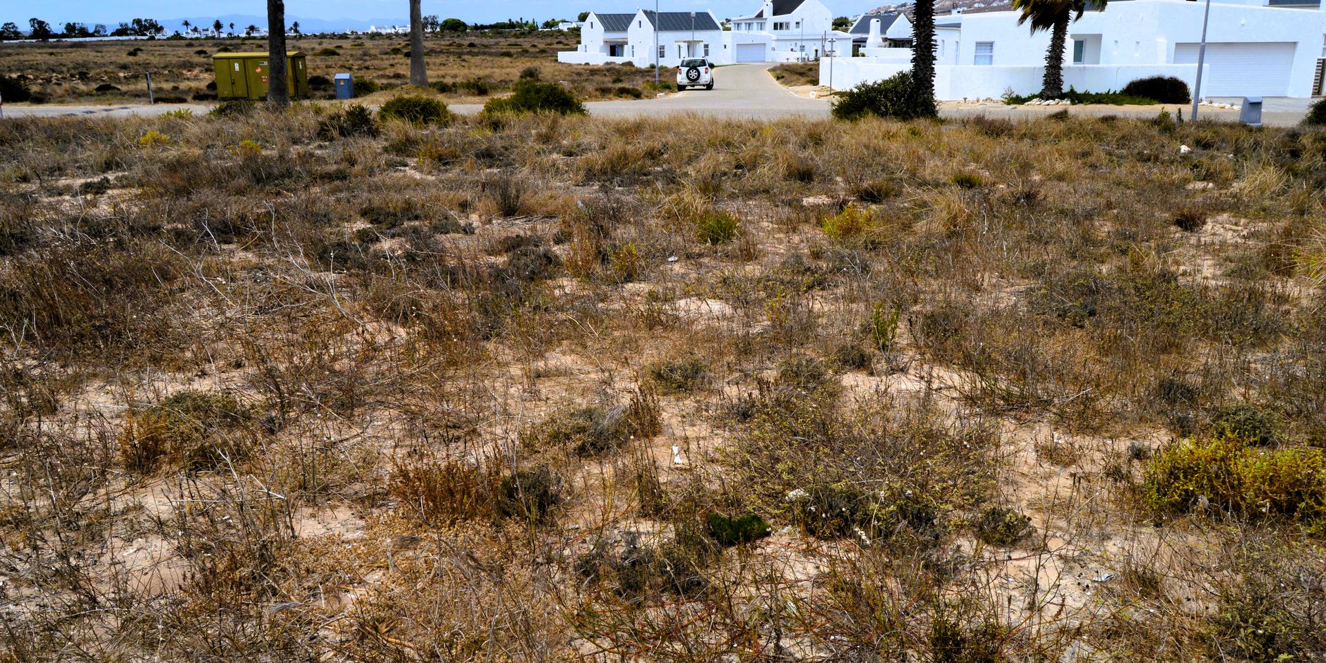 Image 5 of 6