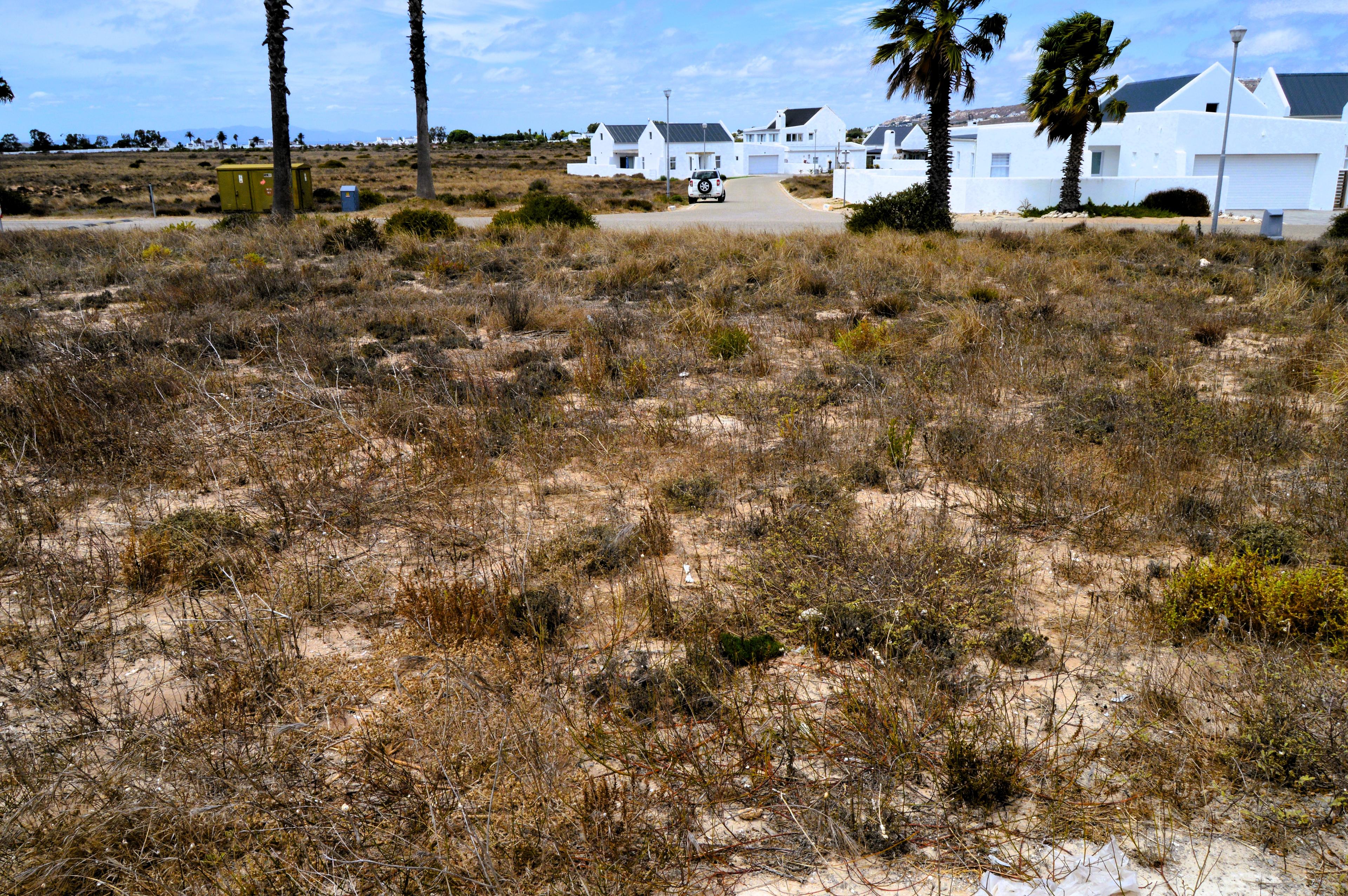 Image 5 of 6