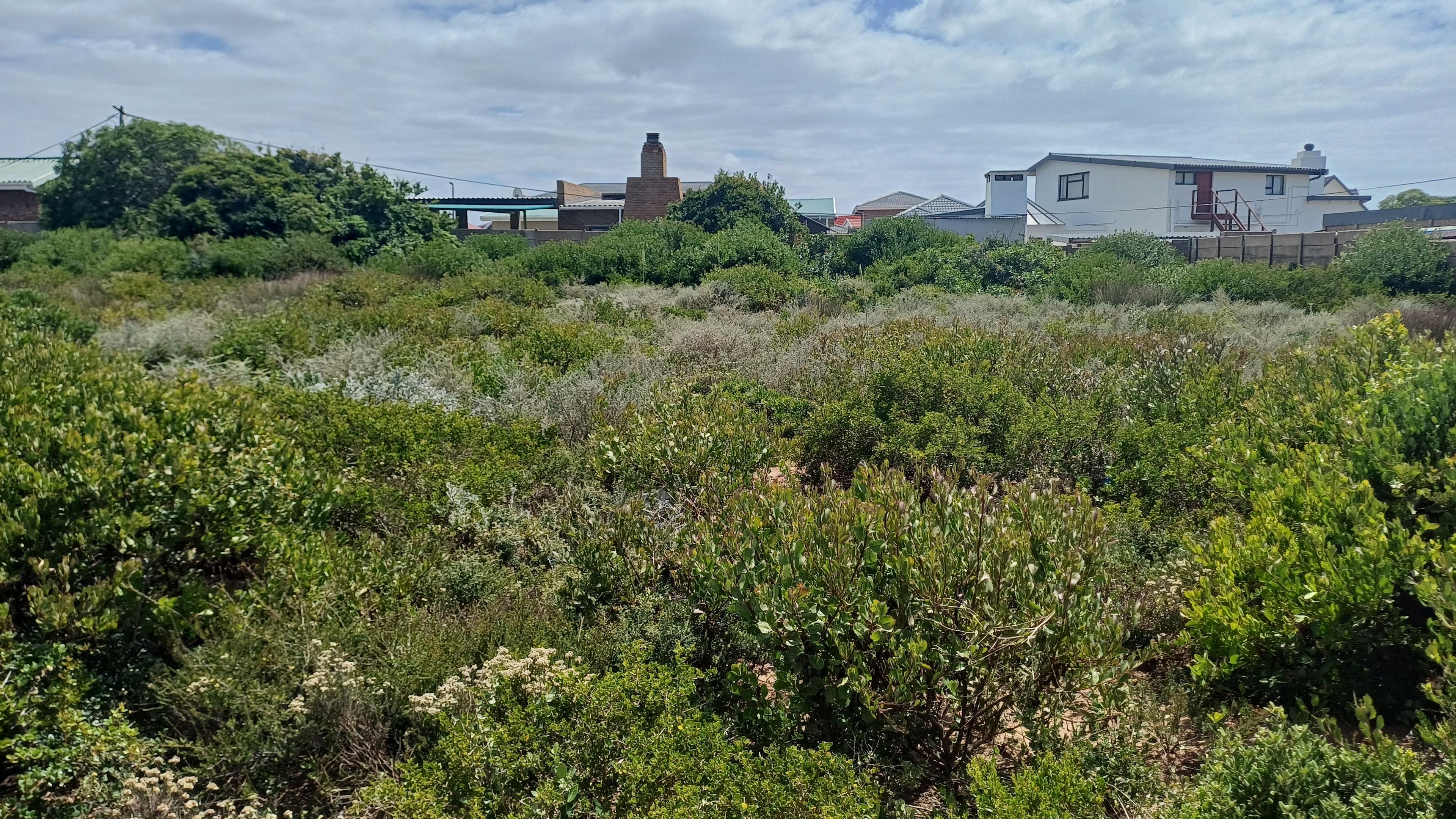 Image 5 of 6