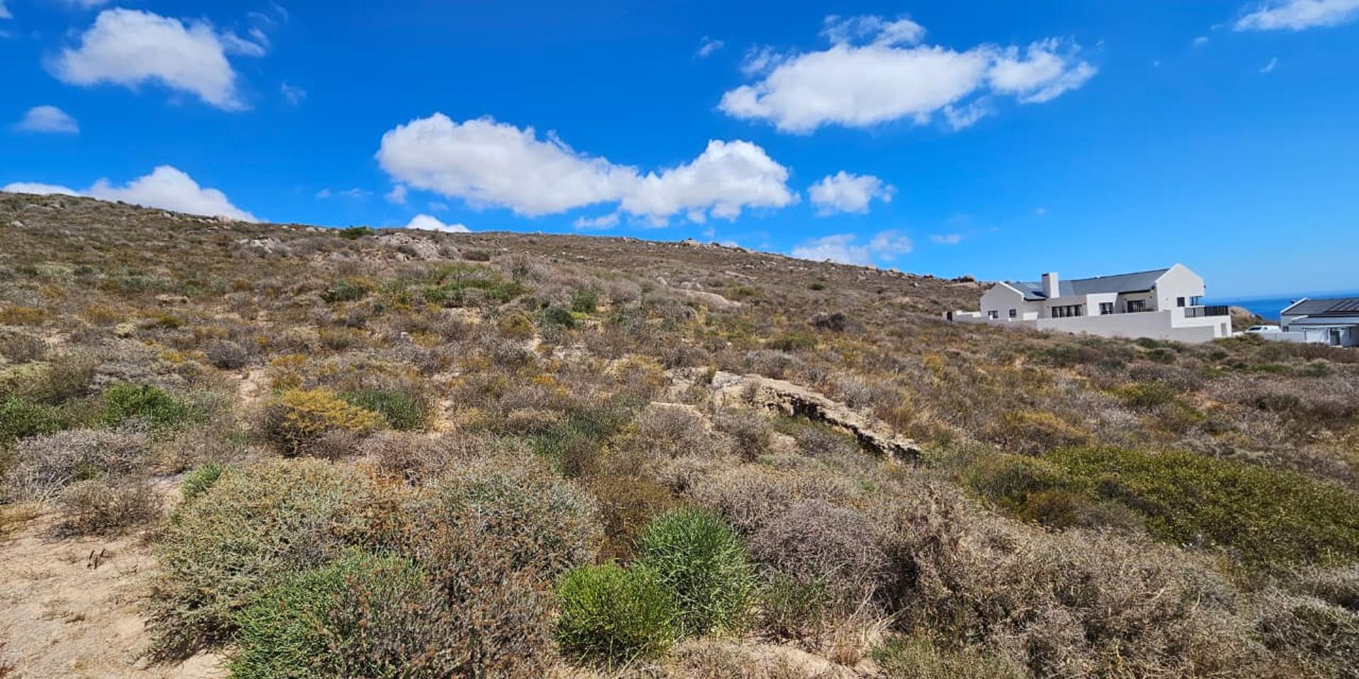 Image 4 of 6