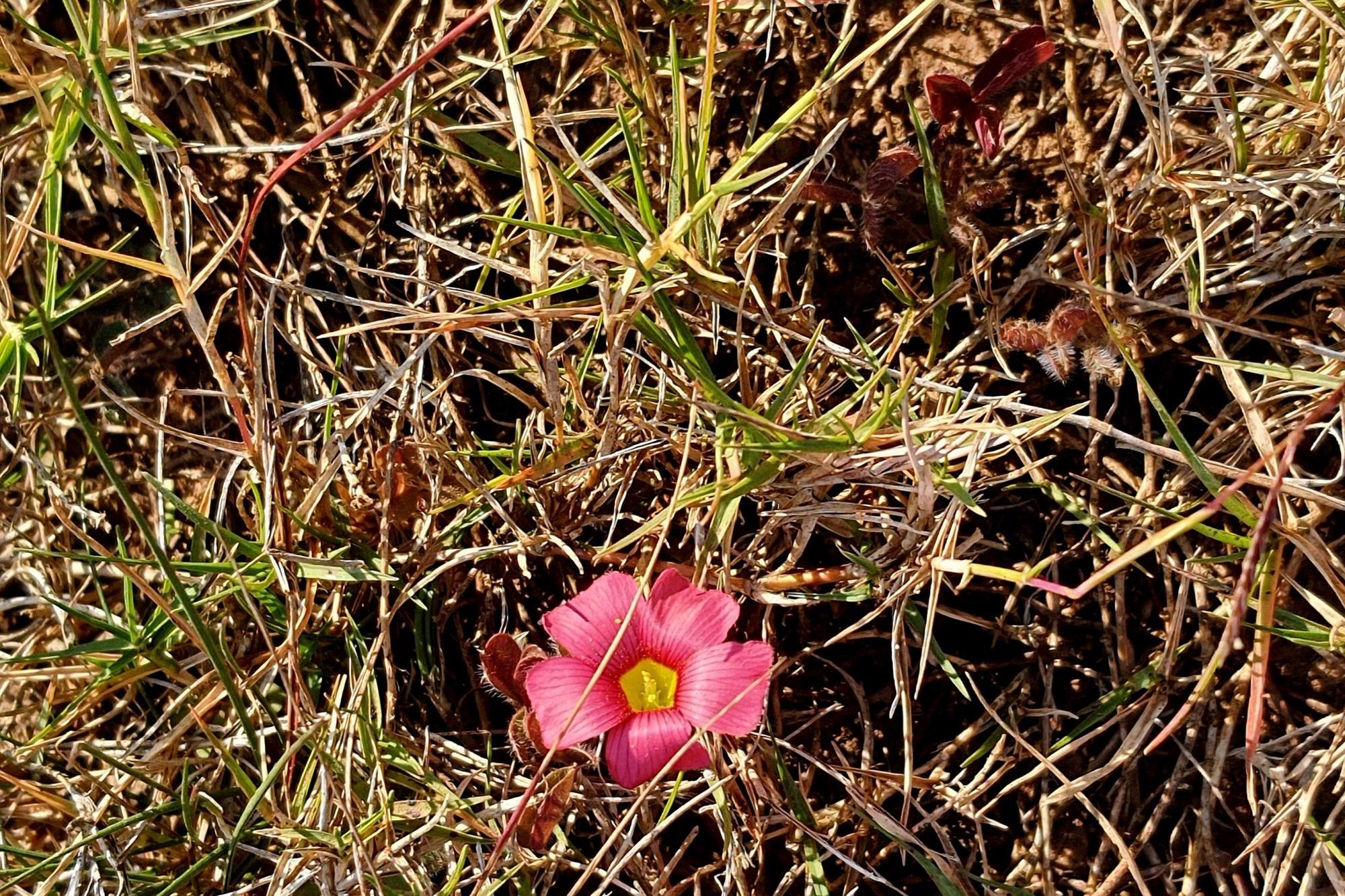 Image 13