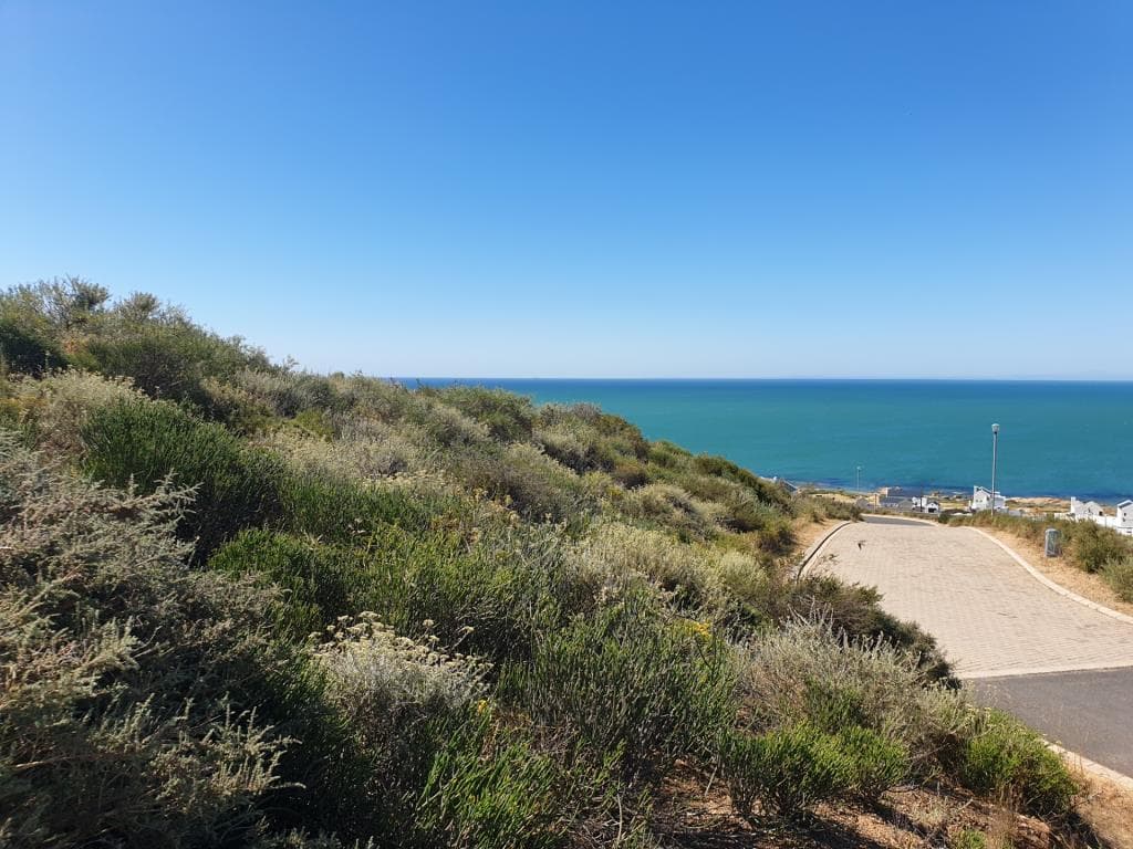 Image 5 of 6