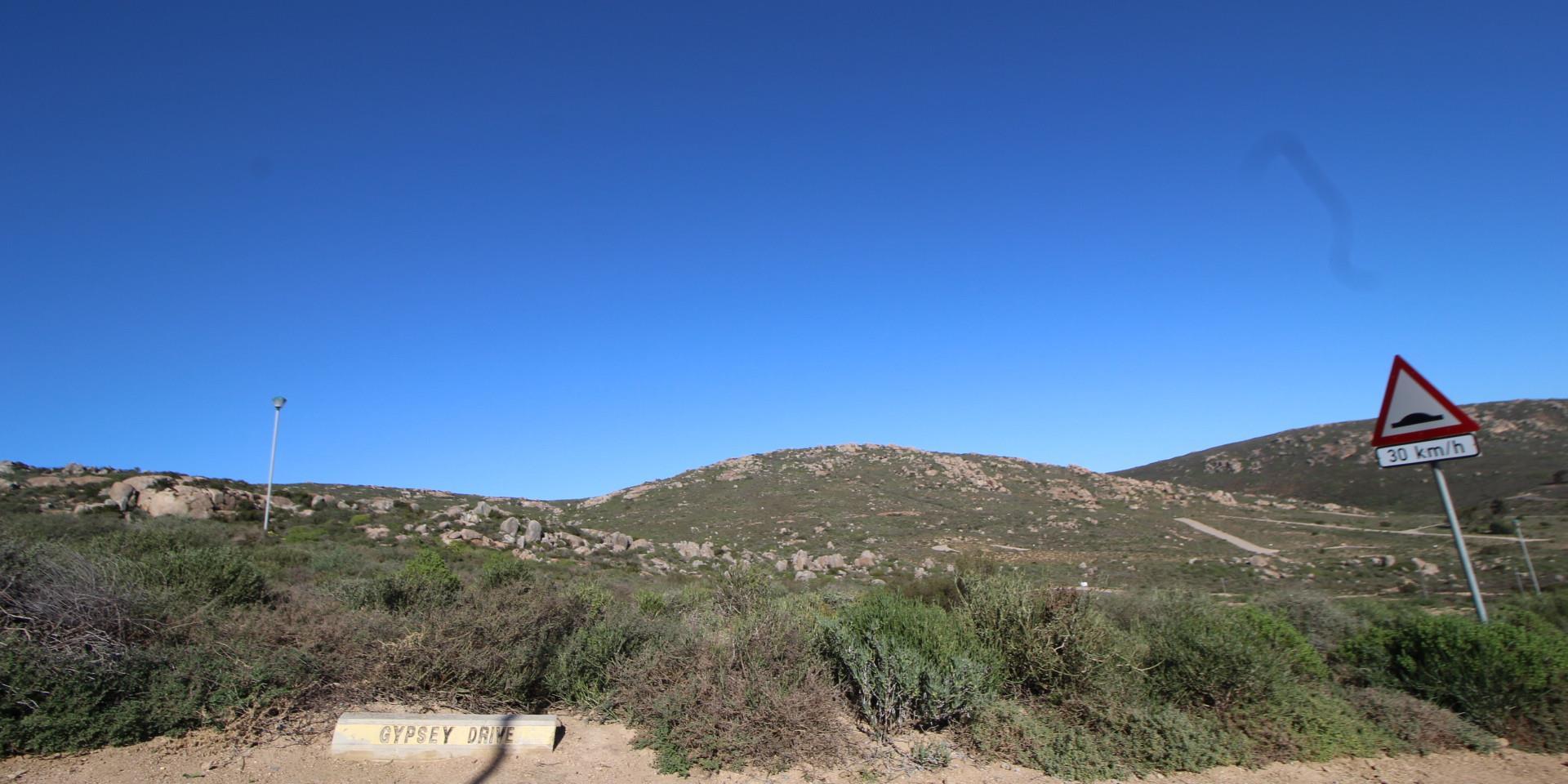 Image 4 of 6