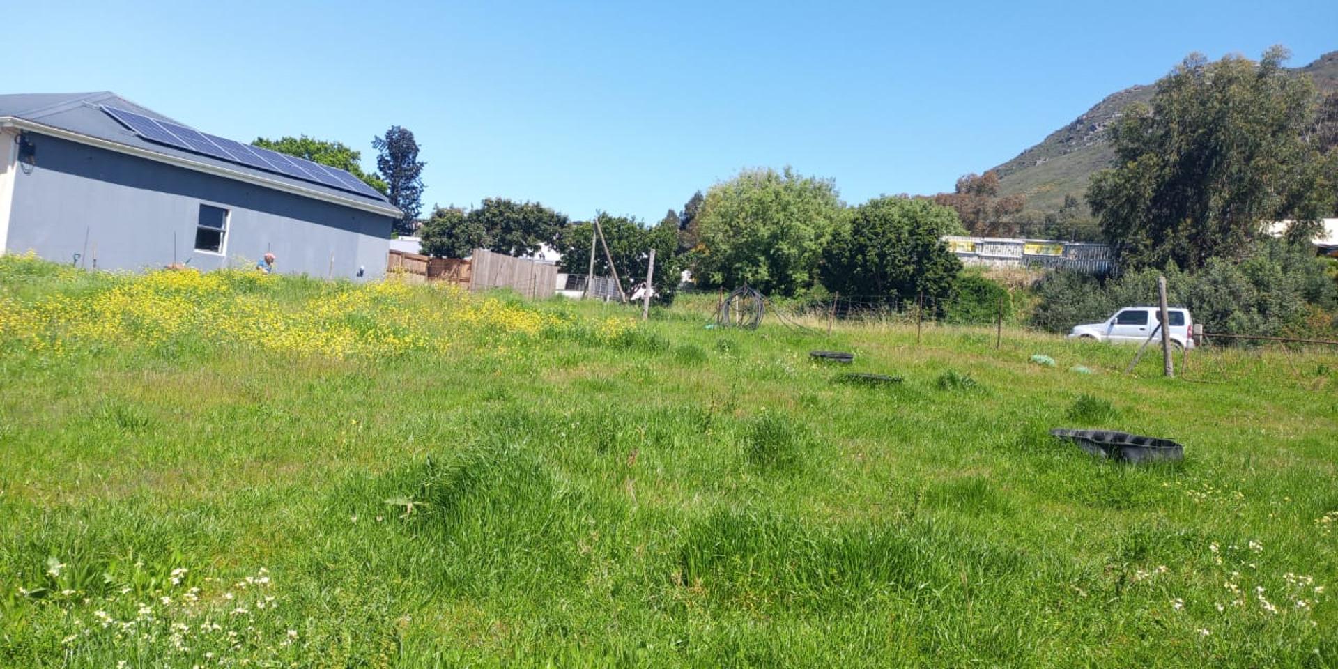 Image 4 of 6