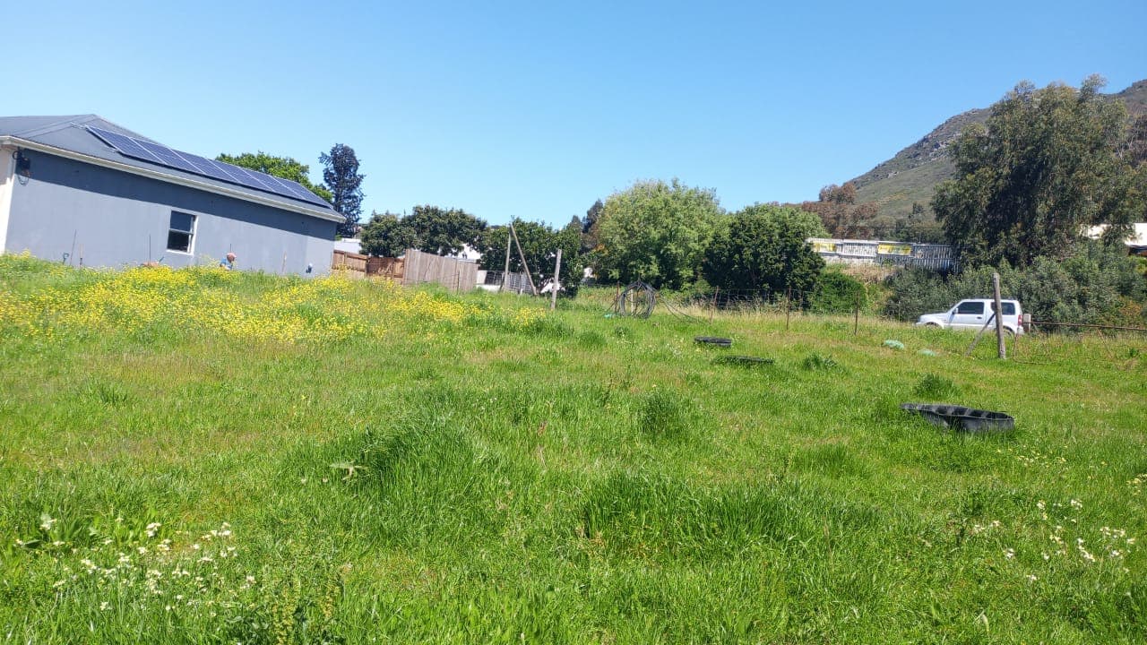 Image 4 of 6