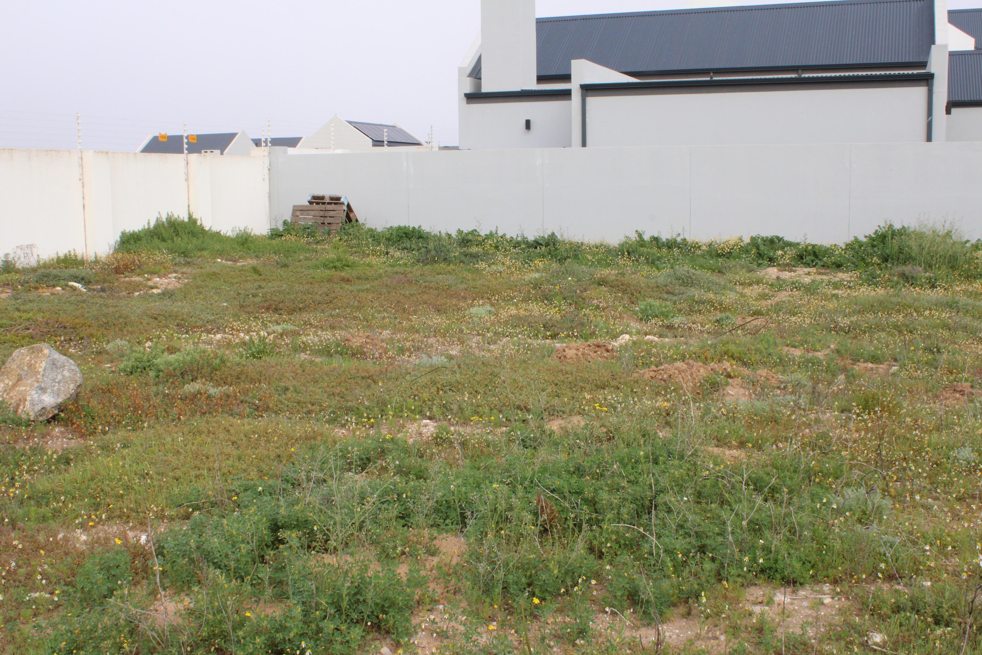 Image 13