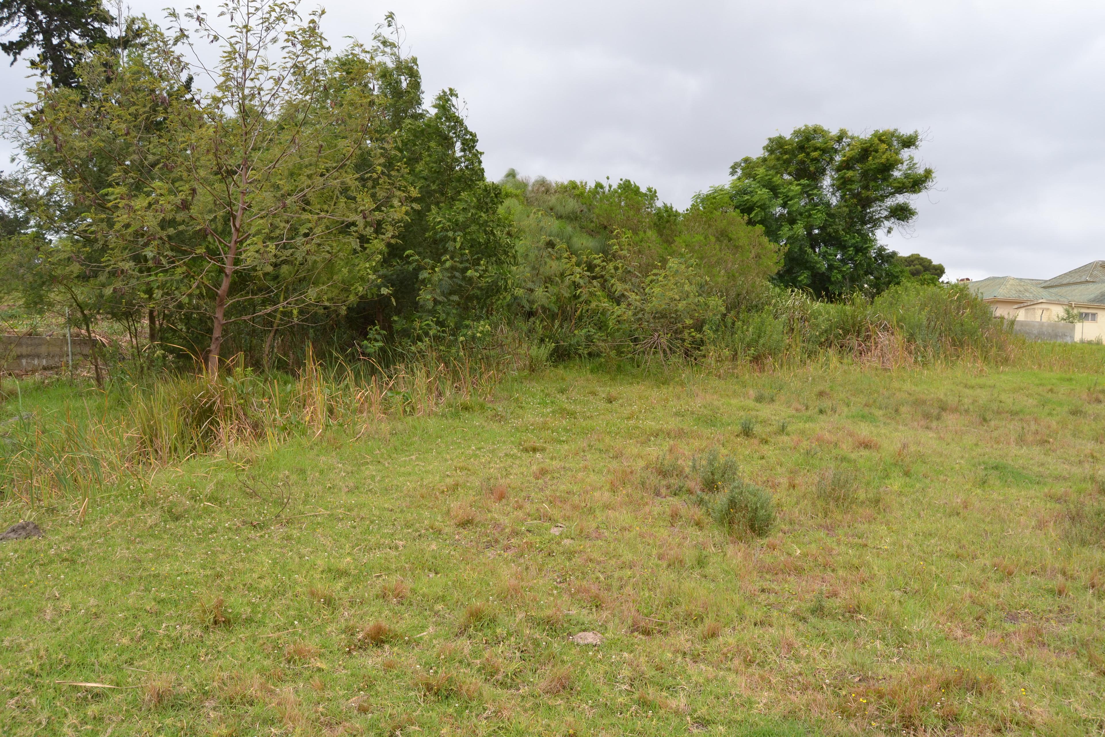 Image 14