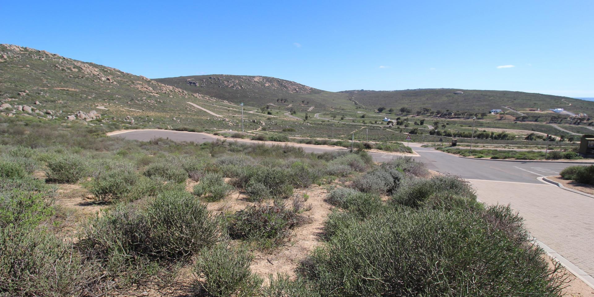 Image 5 of 6