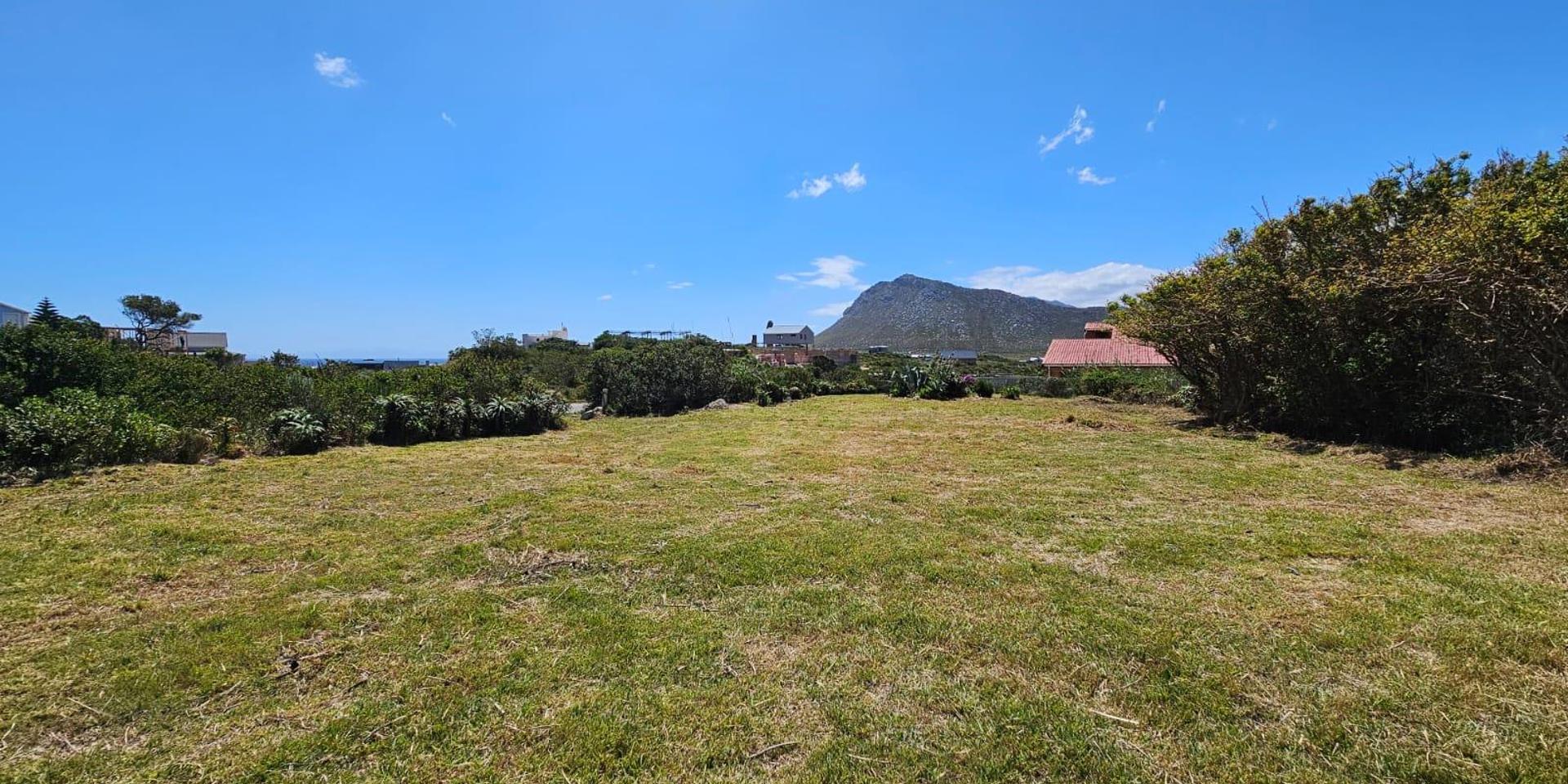Image 4 of 6