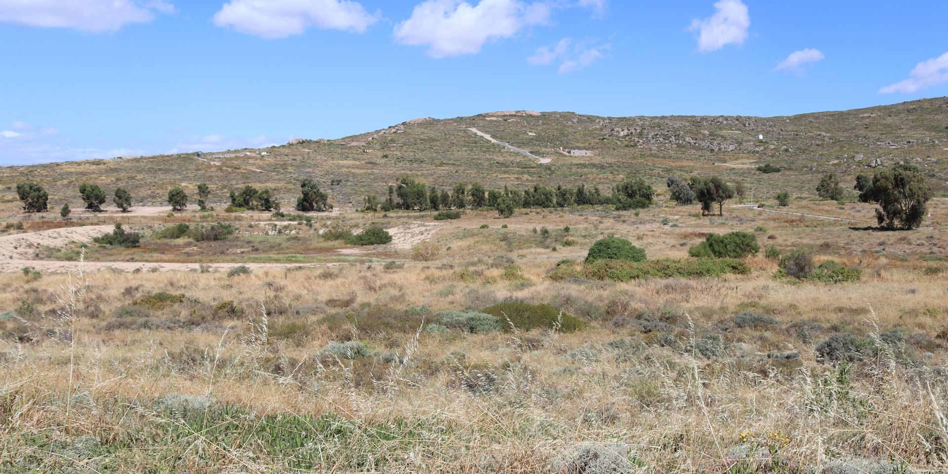 Image 4 of 6