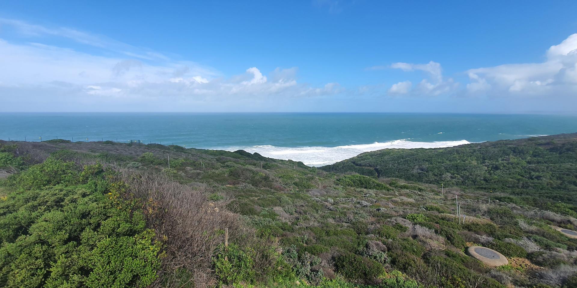Image 4 of 6