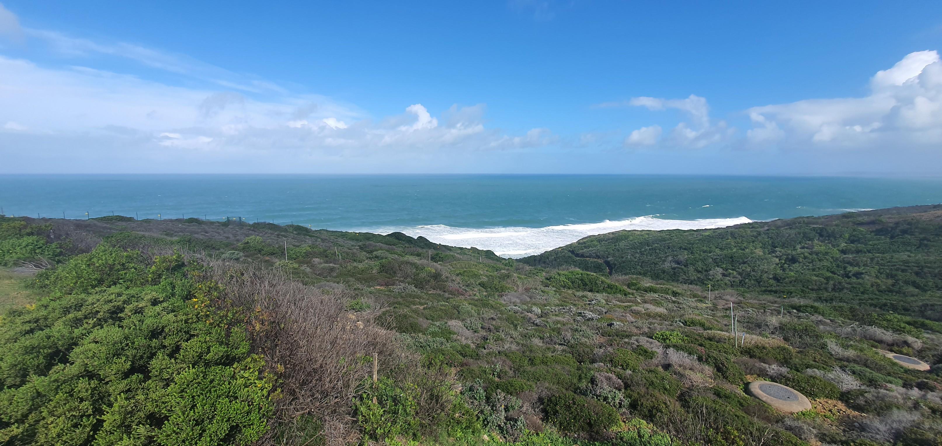Image 4 of 6
