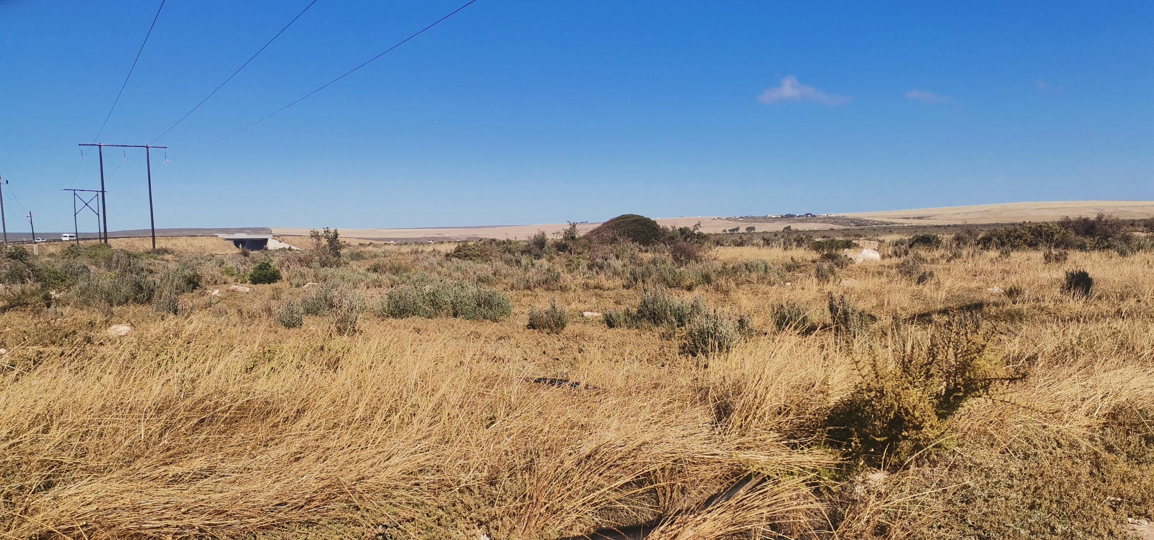 Image 5 of 6