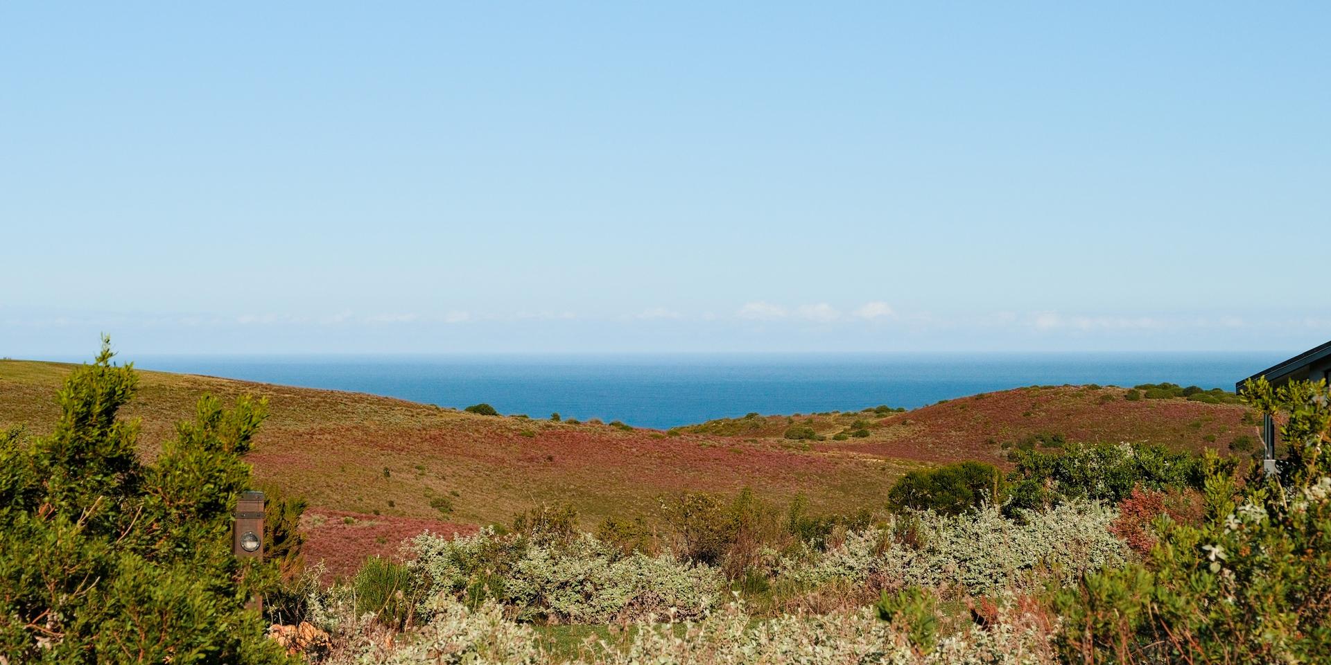 Image 2 of 6