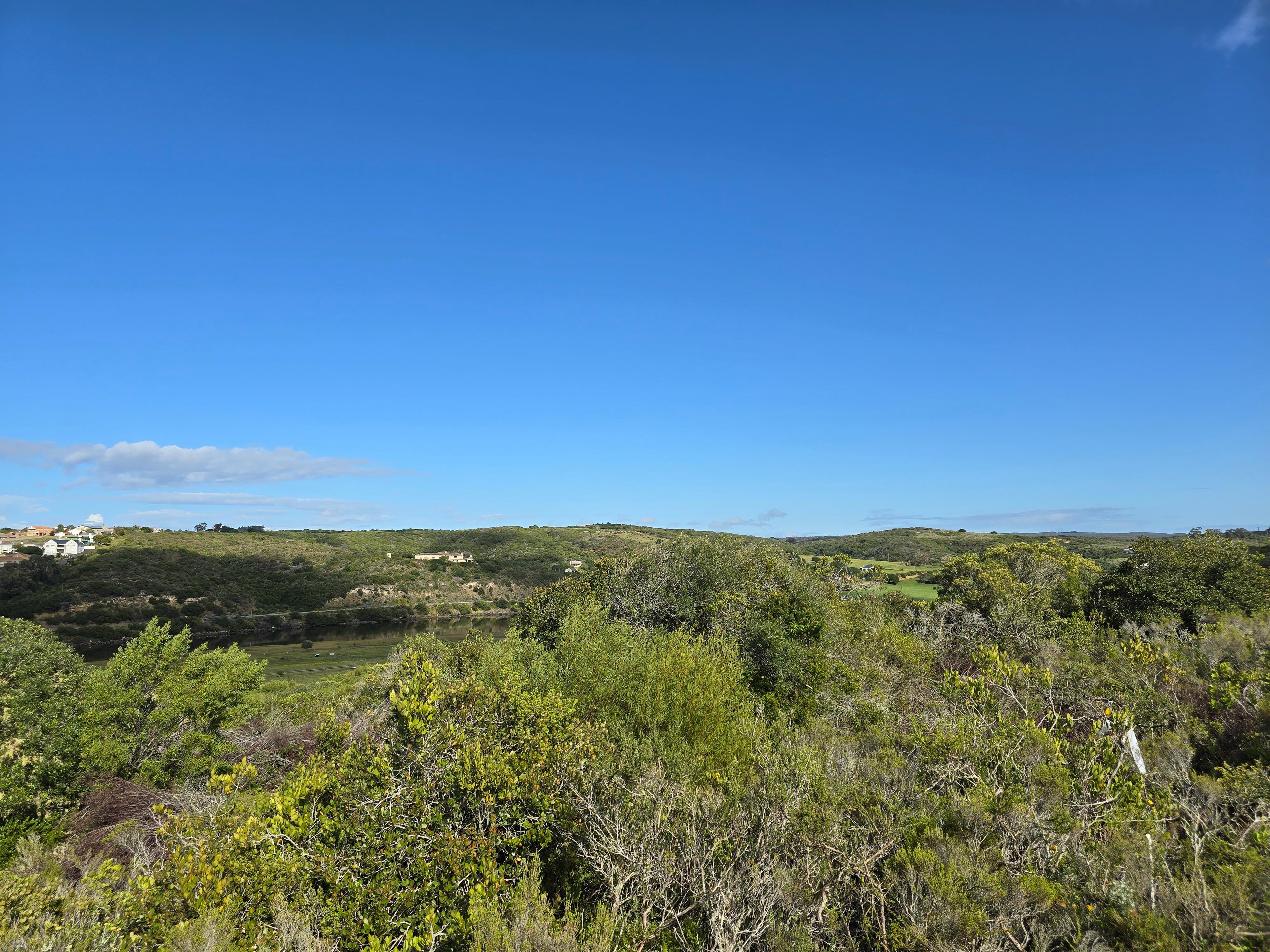 Image 4 of 6