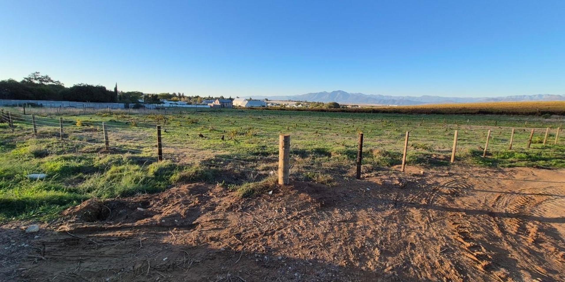 Image 2 of 6