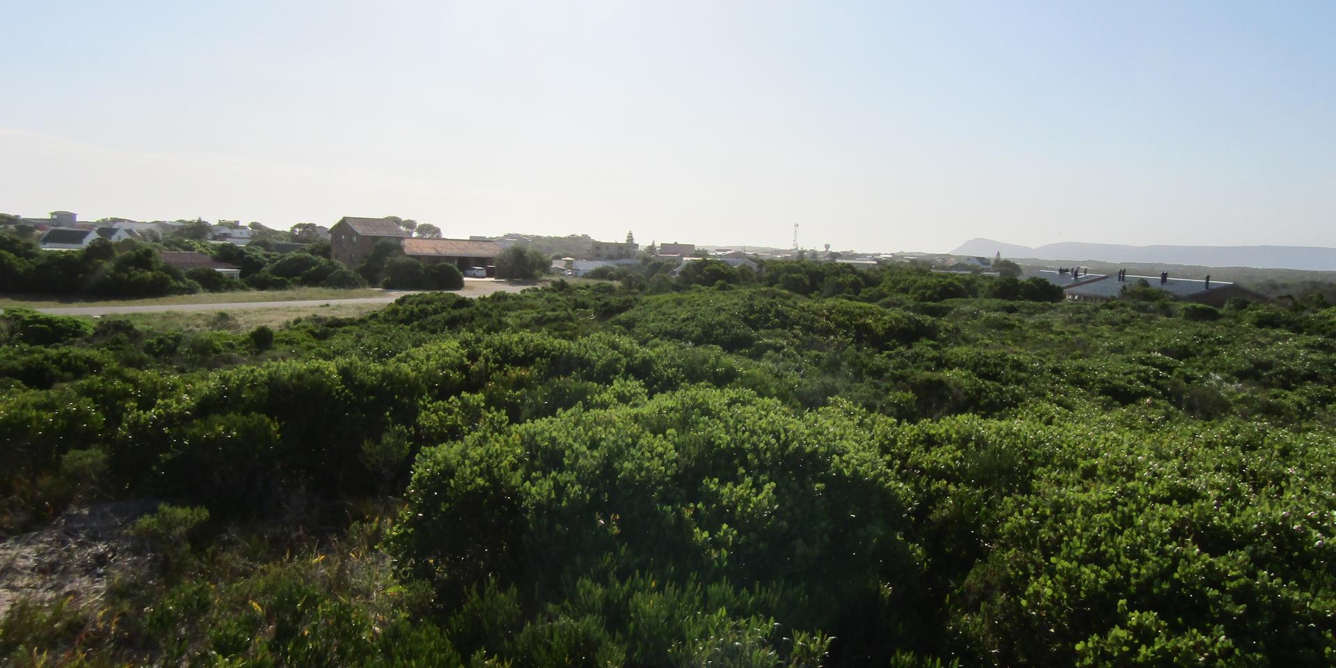 Image 4 of 6