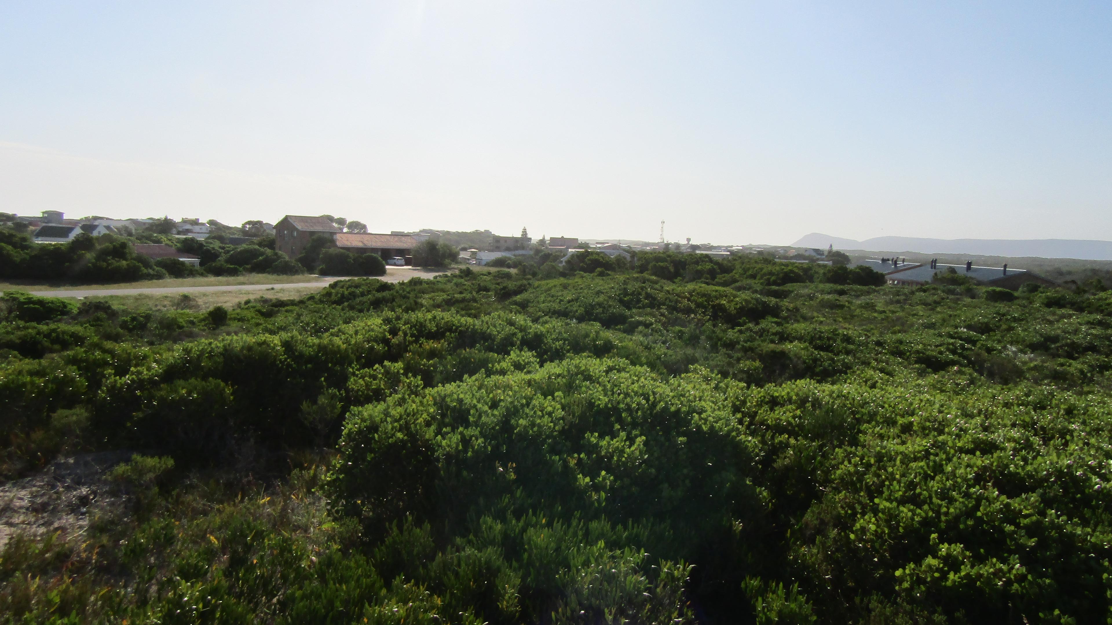 Image 4 of 6
