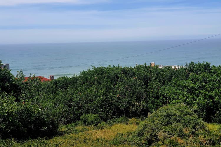 Main property image