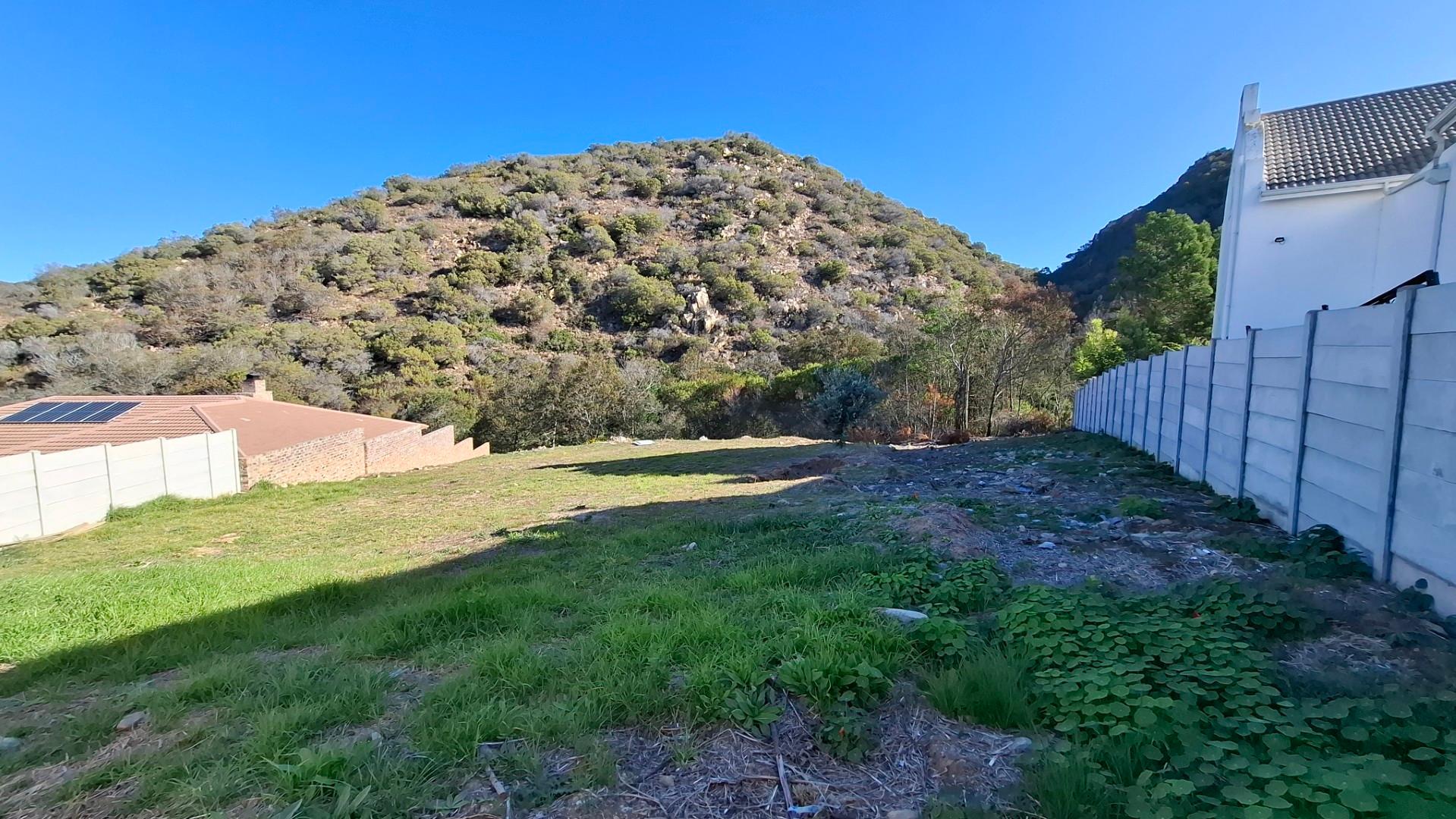 Image 4 of 6