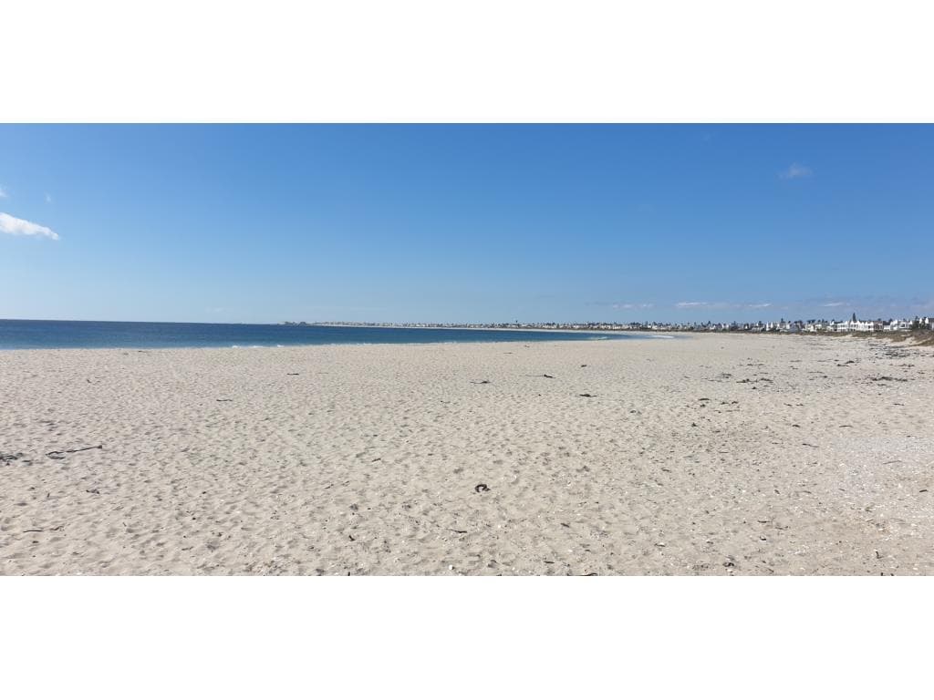 Image 14