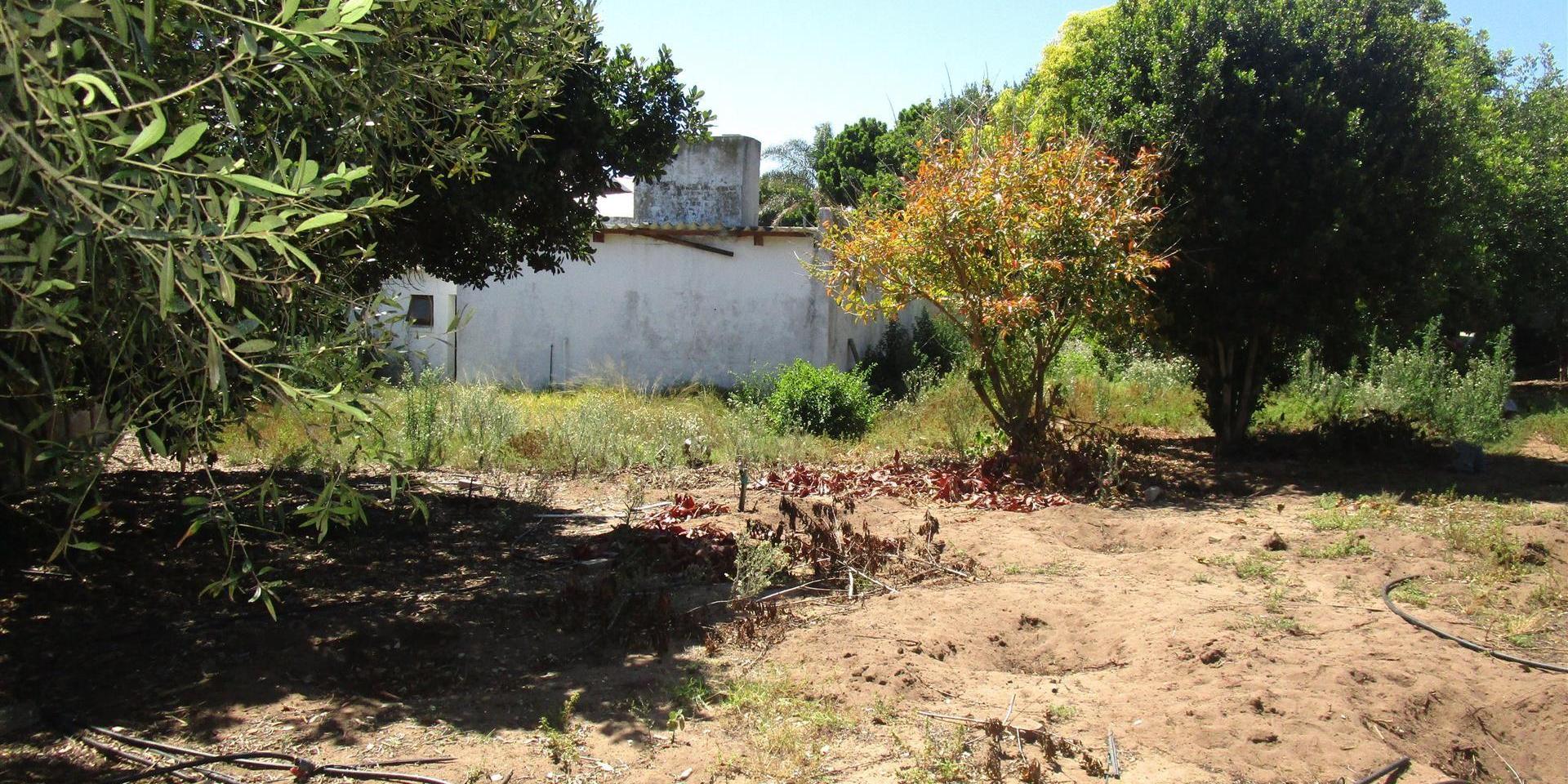 Image 4 of 6