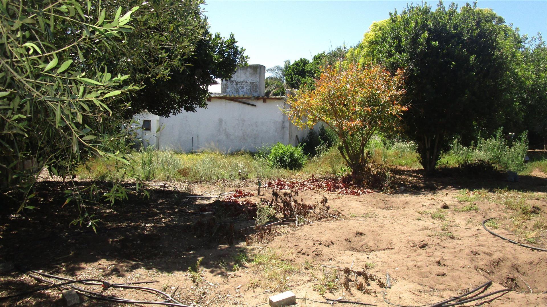 Image 4 of 6