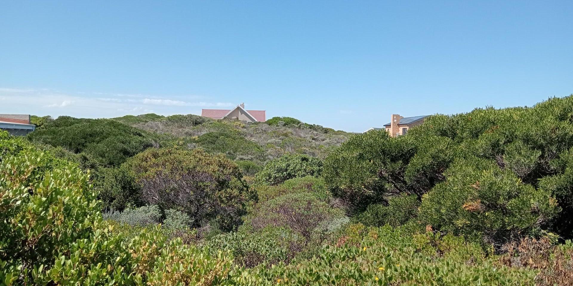 Image 4 of 6