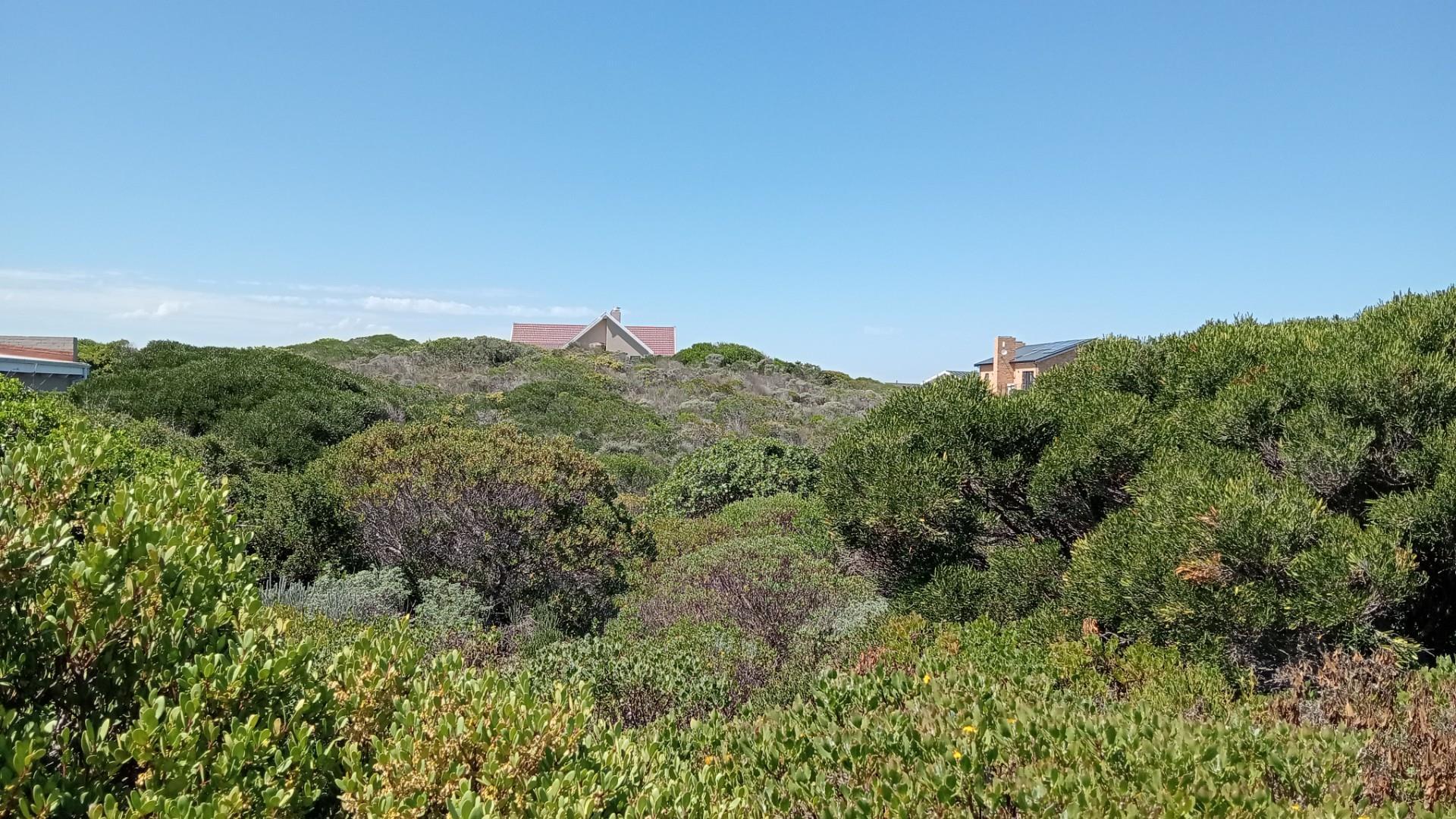 Image 4 of 6