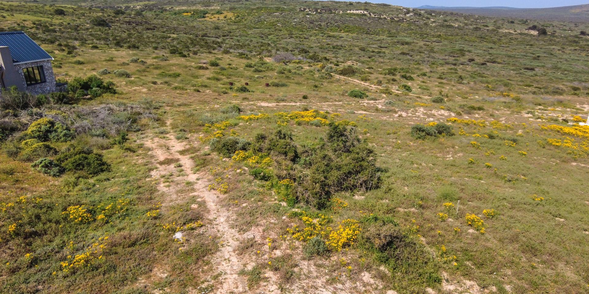 Image 3 of 6