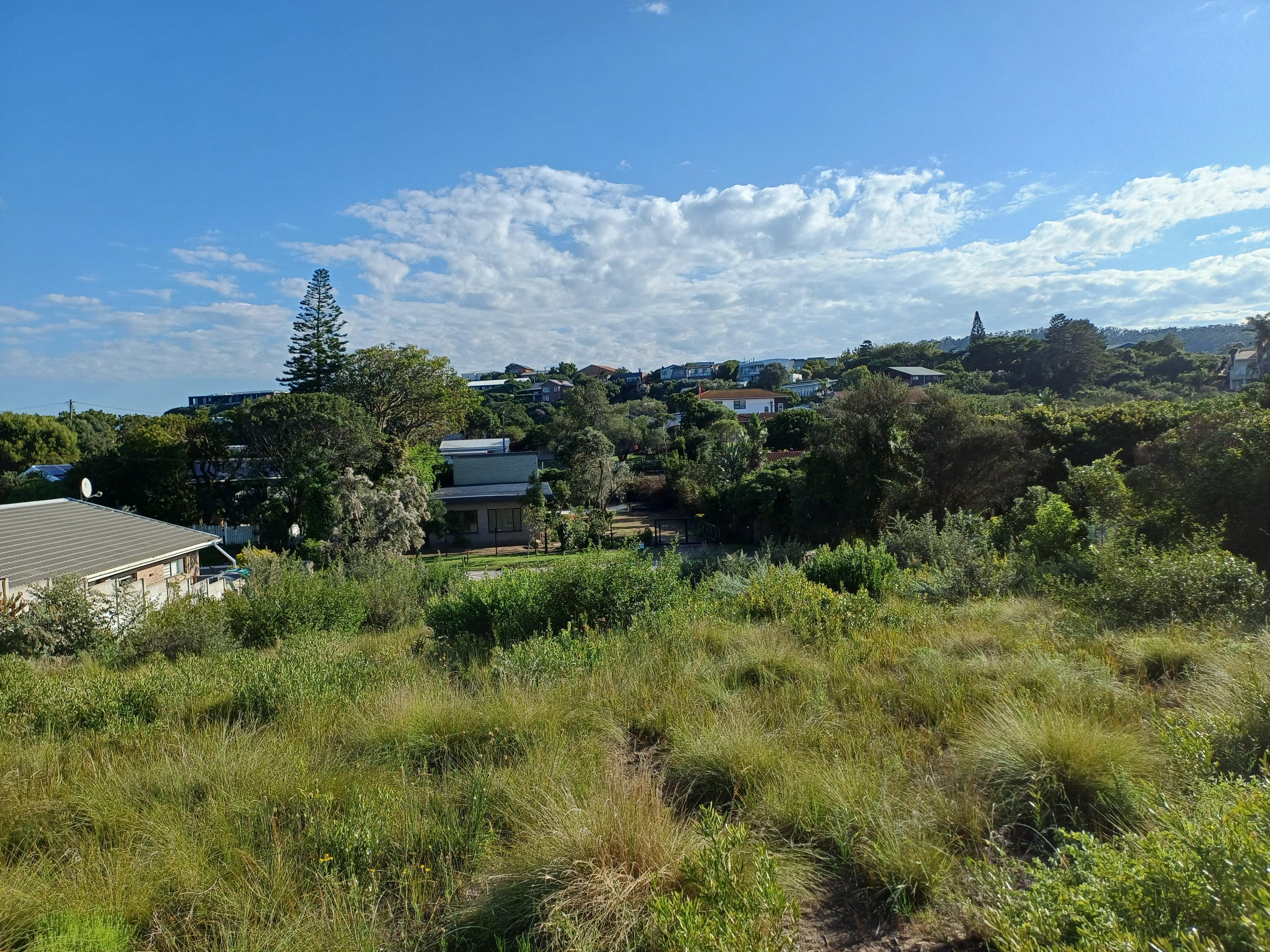 Image 13