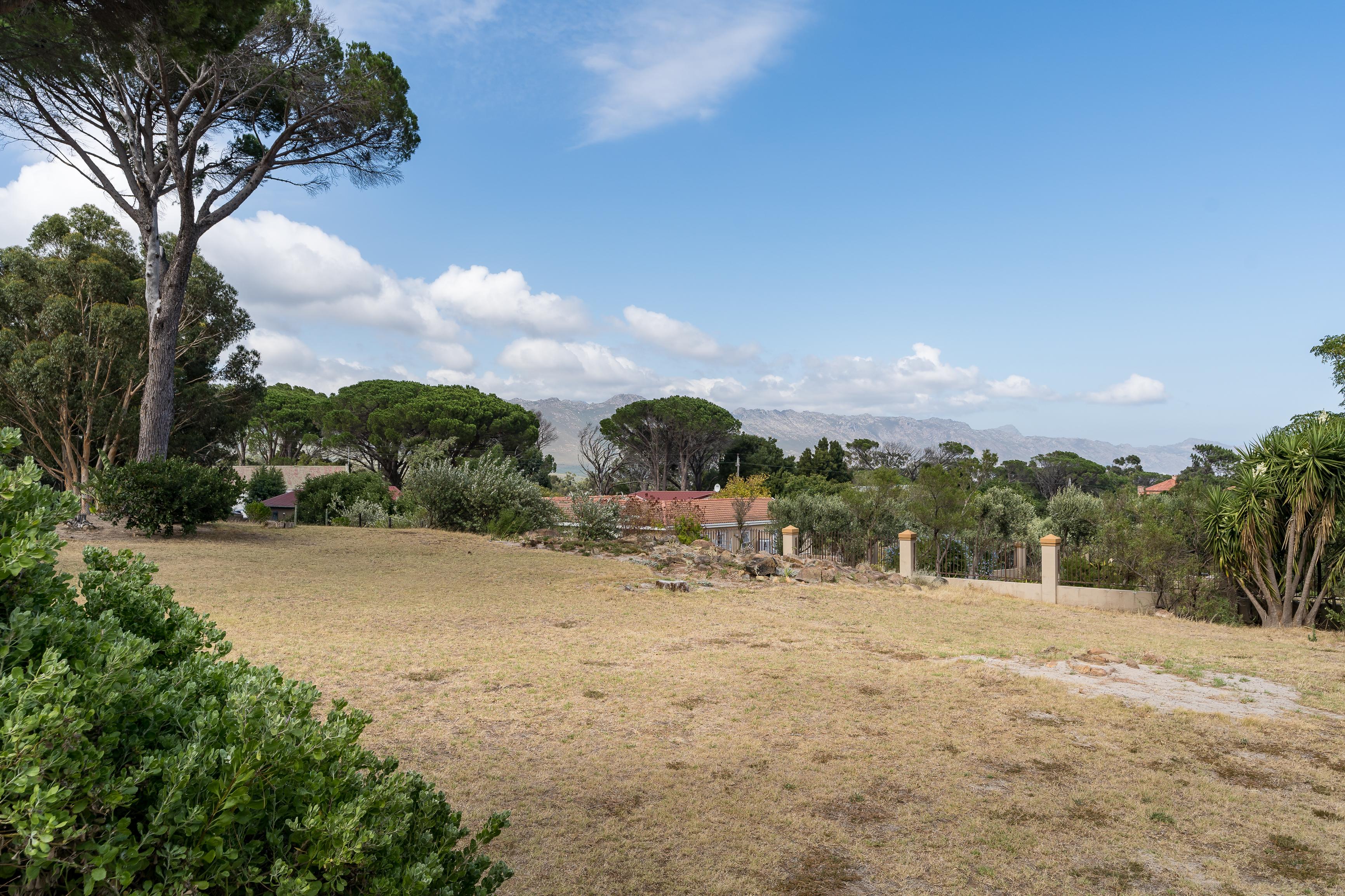 Image 25