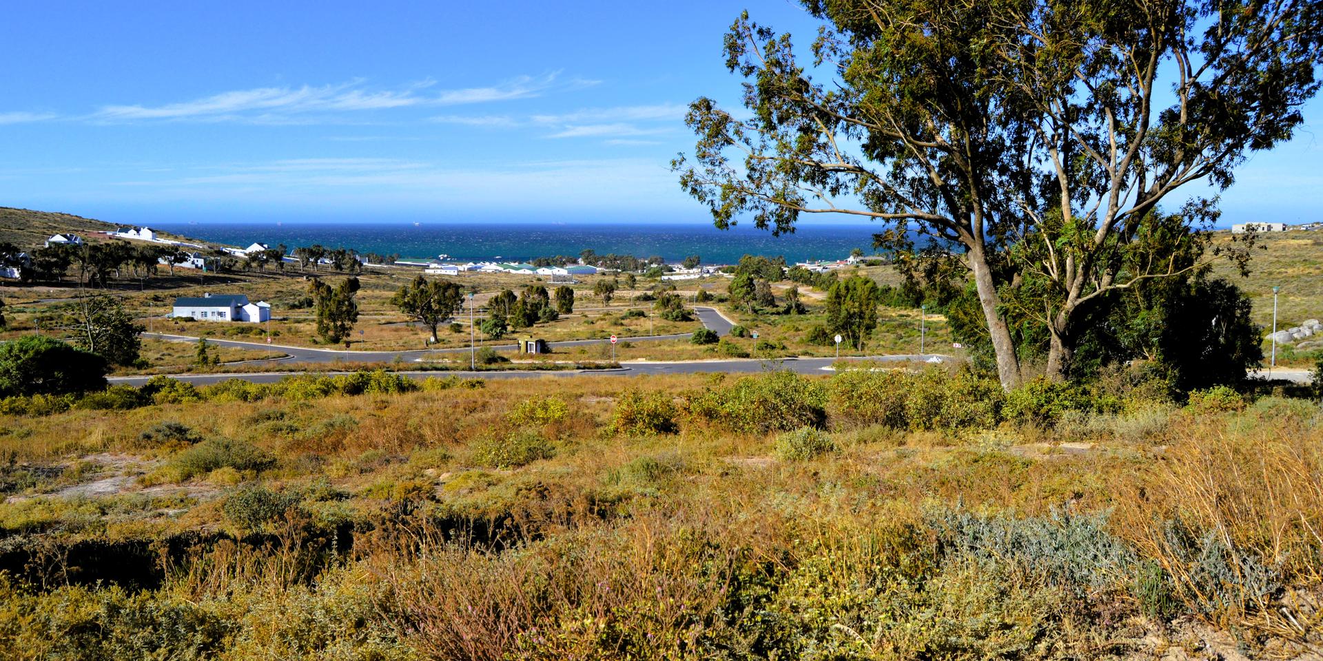 Image 4 of 6