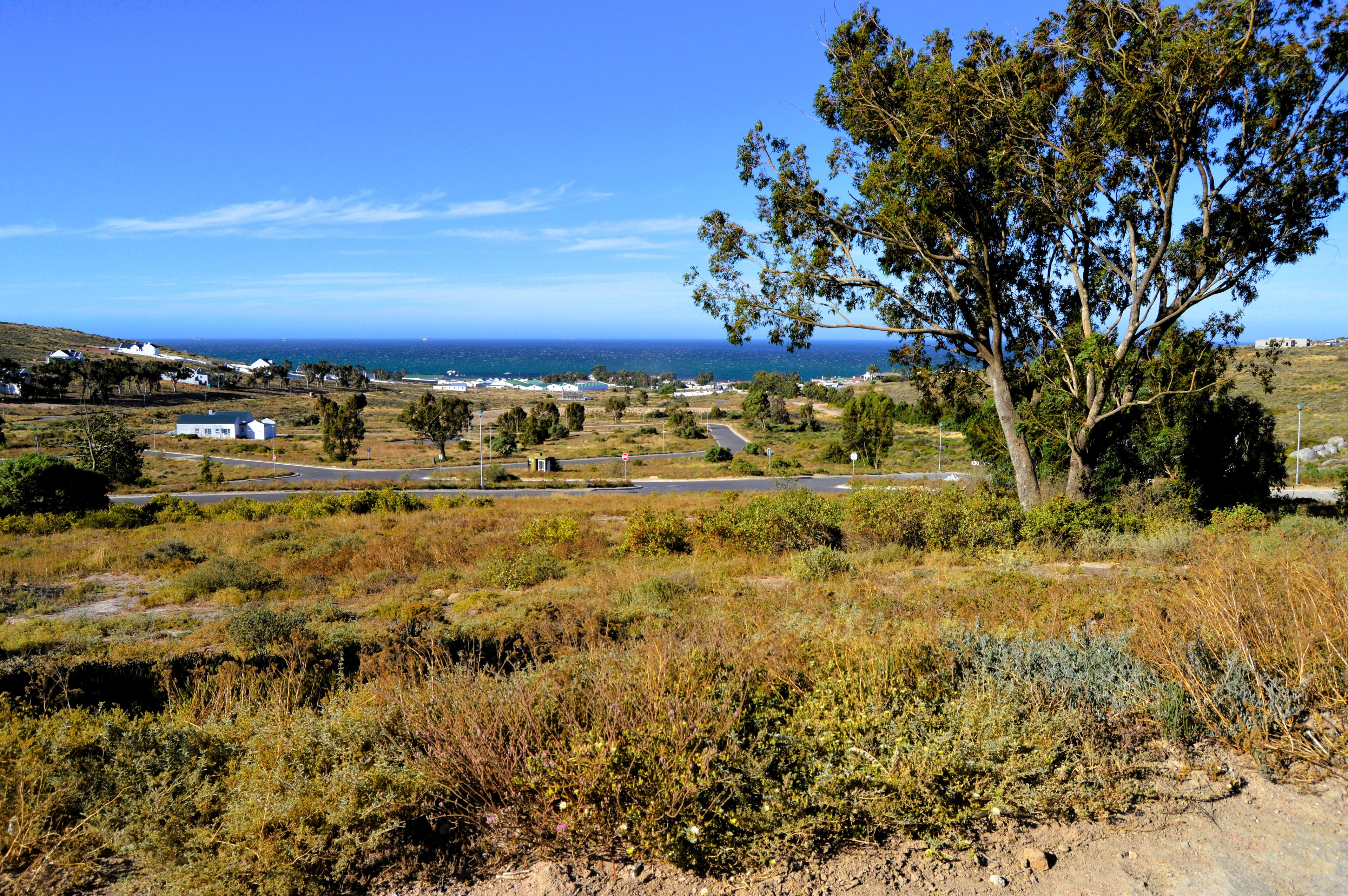 Image 4 of 6