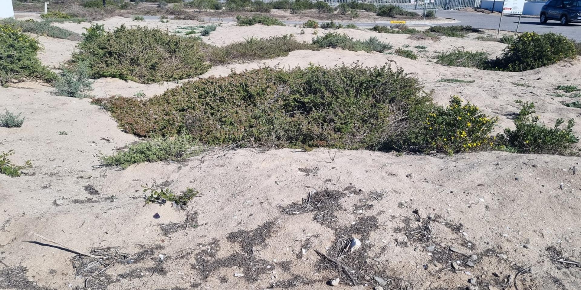 Image 3 of 6
