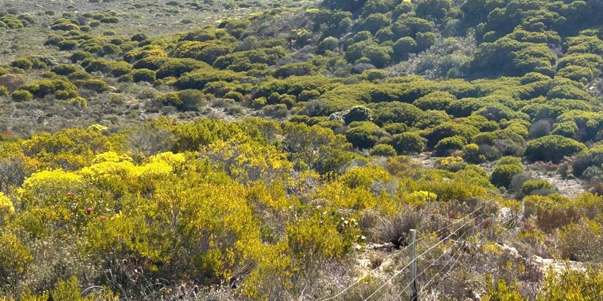 Image 2 of 6