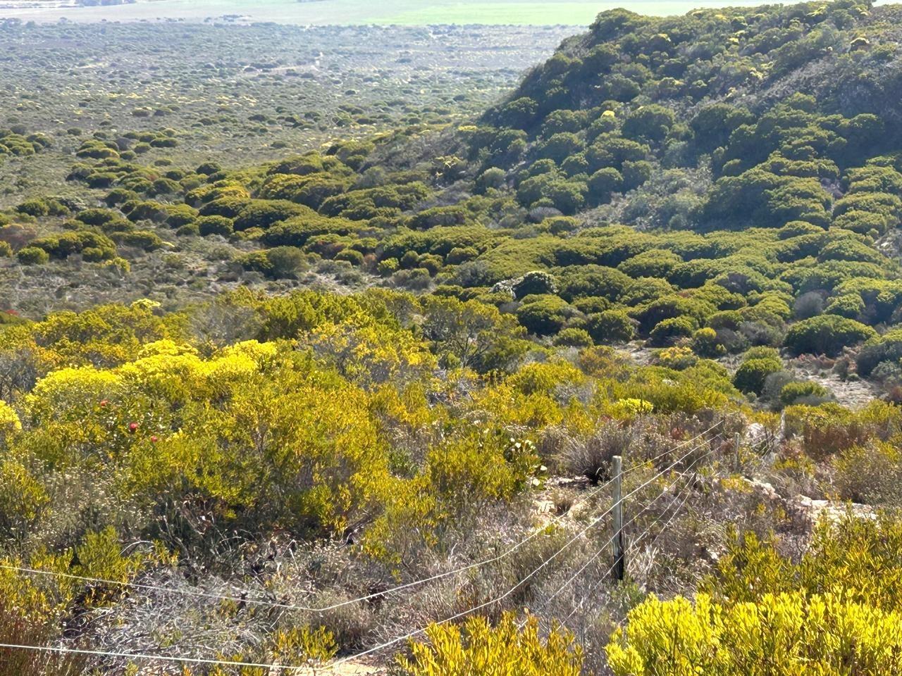 Image 5 of 6