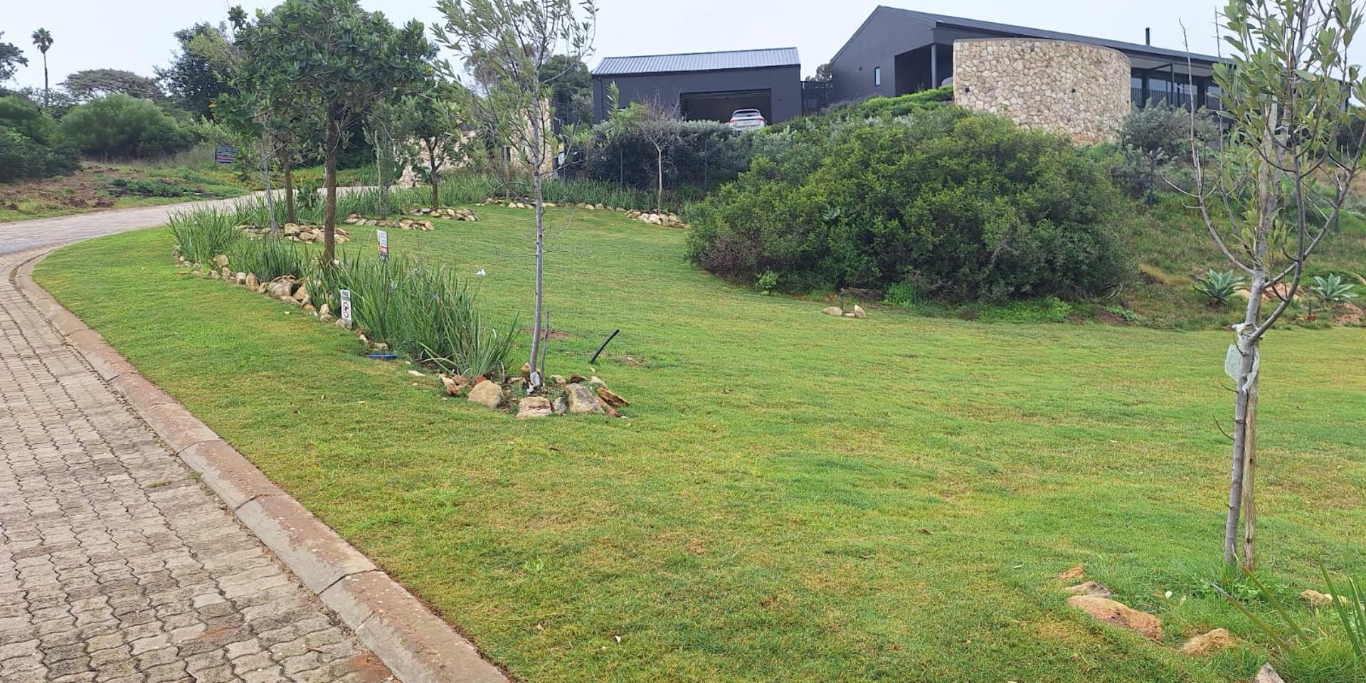 Image 5 of 6