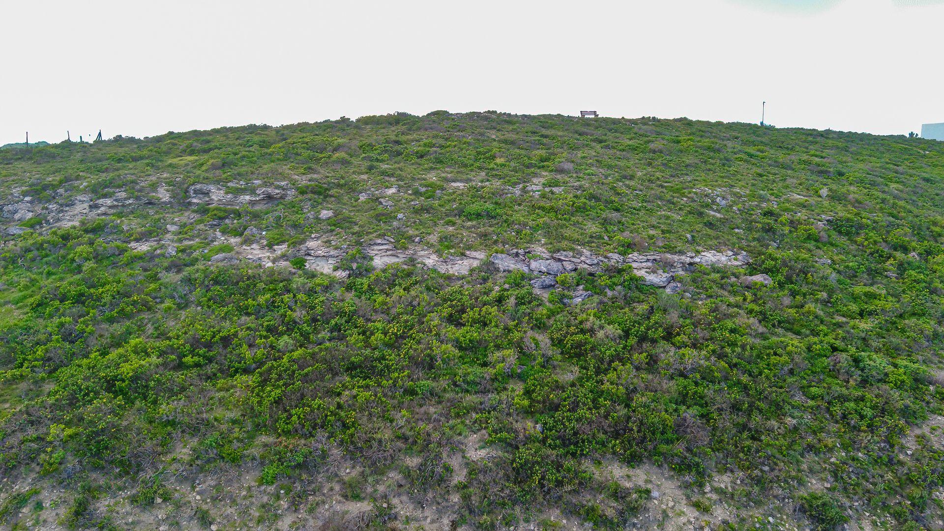 Image 2 of 6