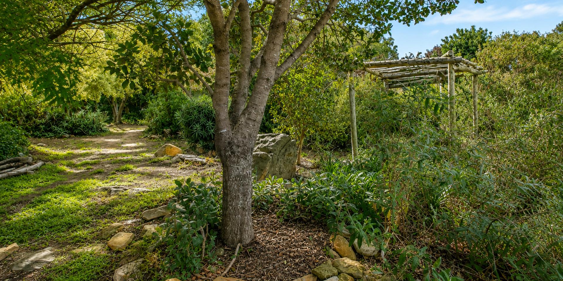 Image 4 of 6