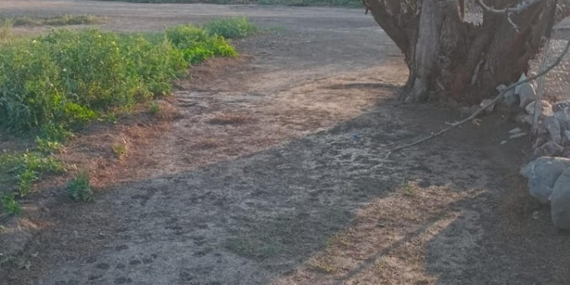 Image 5 of 6