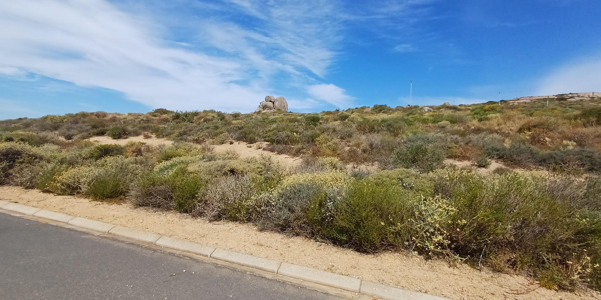 Image 5 of 6