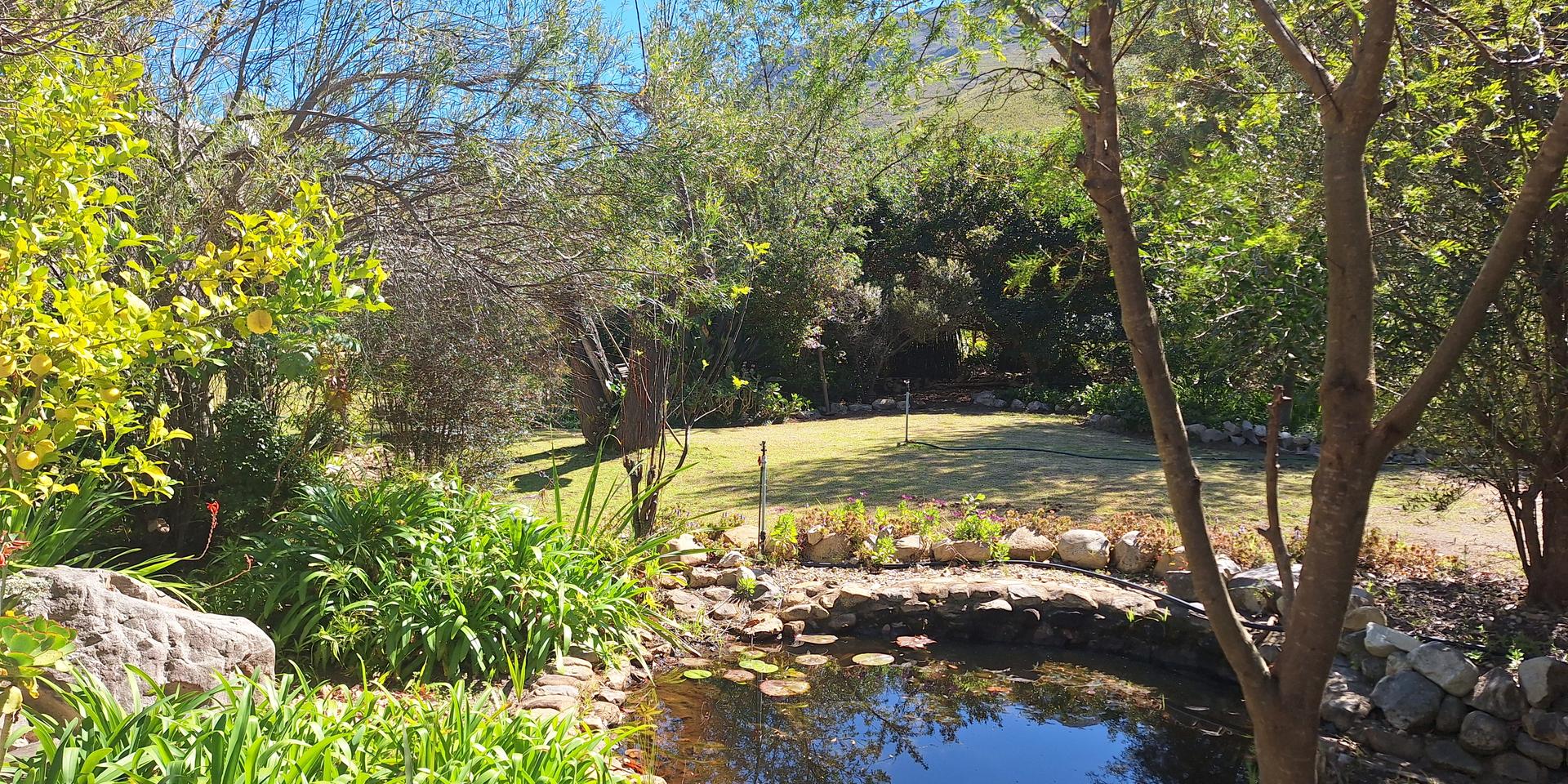 Image 5 of 6