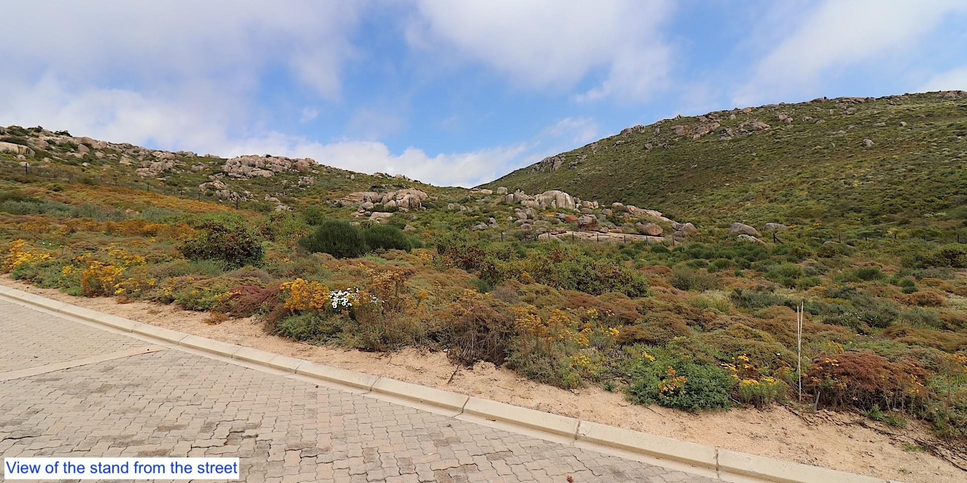 Image 2 of 6