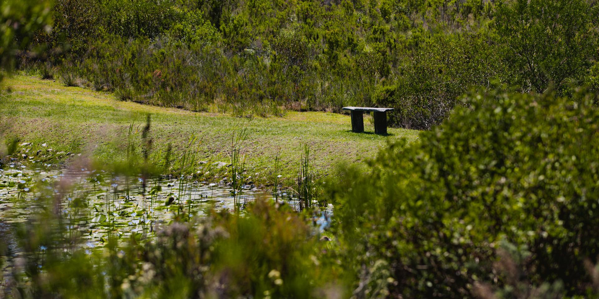 Image 2 of 6