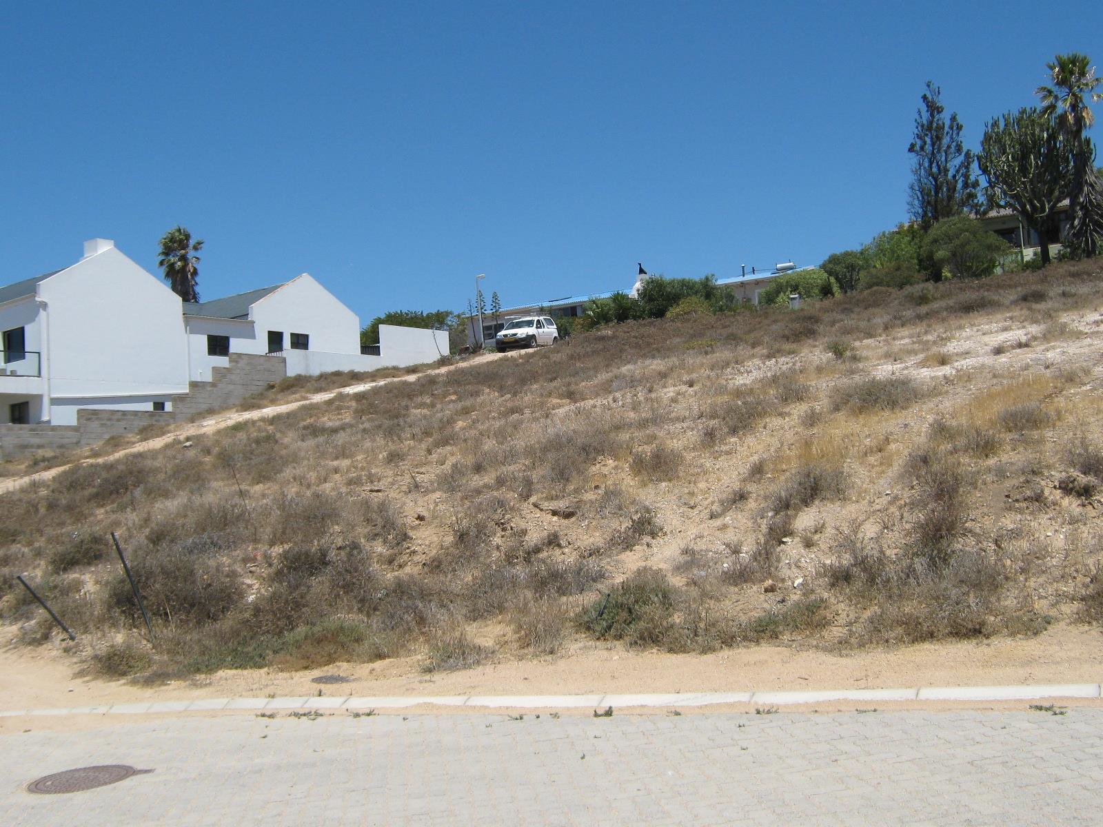 Image 13